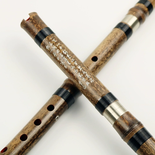 铜岭明珠 Xiaozi Instrument Ding Zilin восемь -дыра Xiao Xiao Professional Performance Paves G.