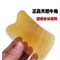 The horn scrapes the plate out the back the legs the face and the neck of the whole body.