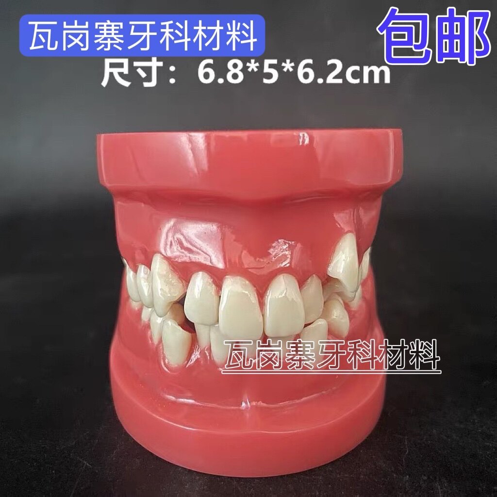 牙科口腔模型病理牙模成人28颗错位正畸模型医患沟通教具牙齿不齐
