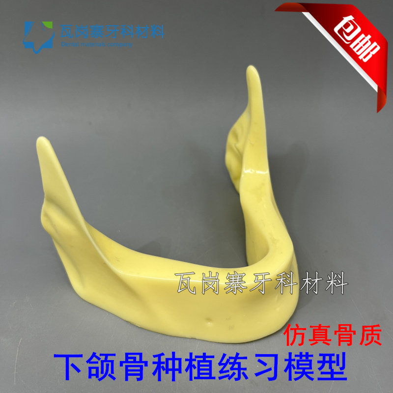 牙科 下颌骨种植练习模型 无牙颌仿真骨质 种植钻孔练习演示 包邮