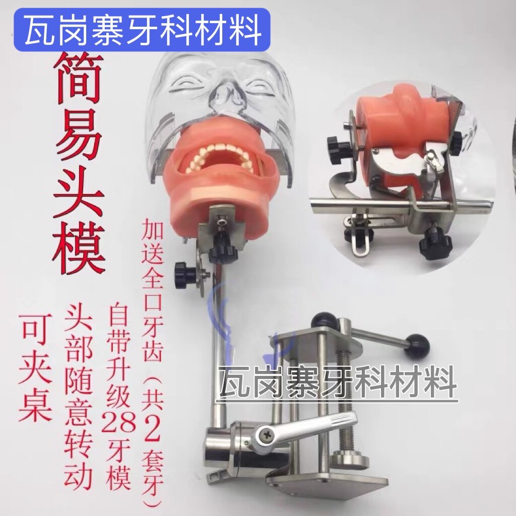 牙齿牙模简易仿真练习头模牙科可拆卸口腔科教学头模备牙练习头模