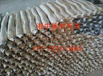 Single-branch cement anchor rod cement drug roll anchoring agent steel reinforcement implanted in mine culvert road railway tunnel