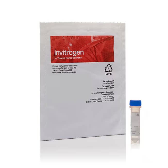 Invitrogen S34854 SYTO 9 绿色荧光核酸染色剂 100ul
