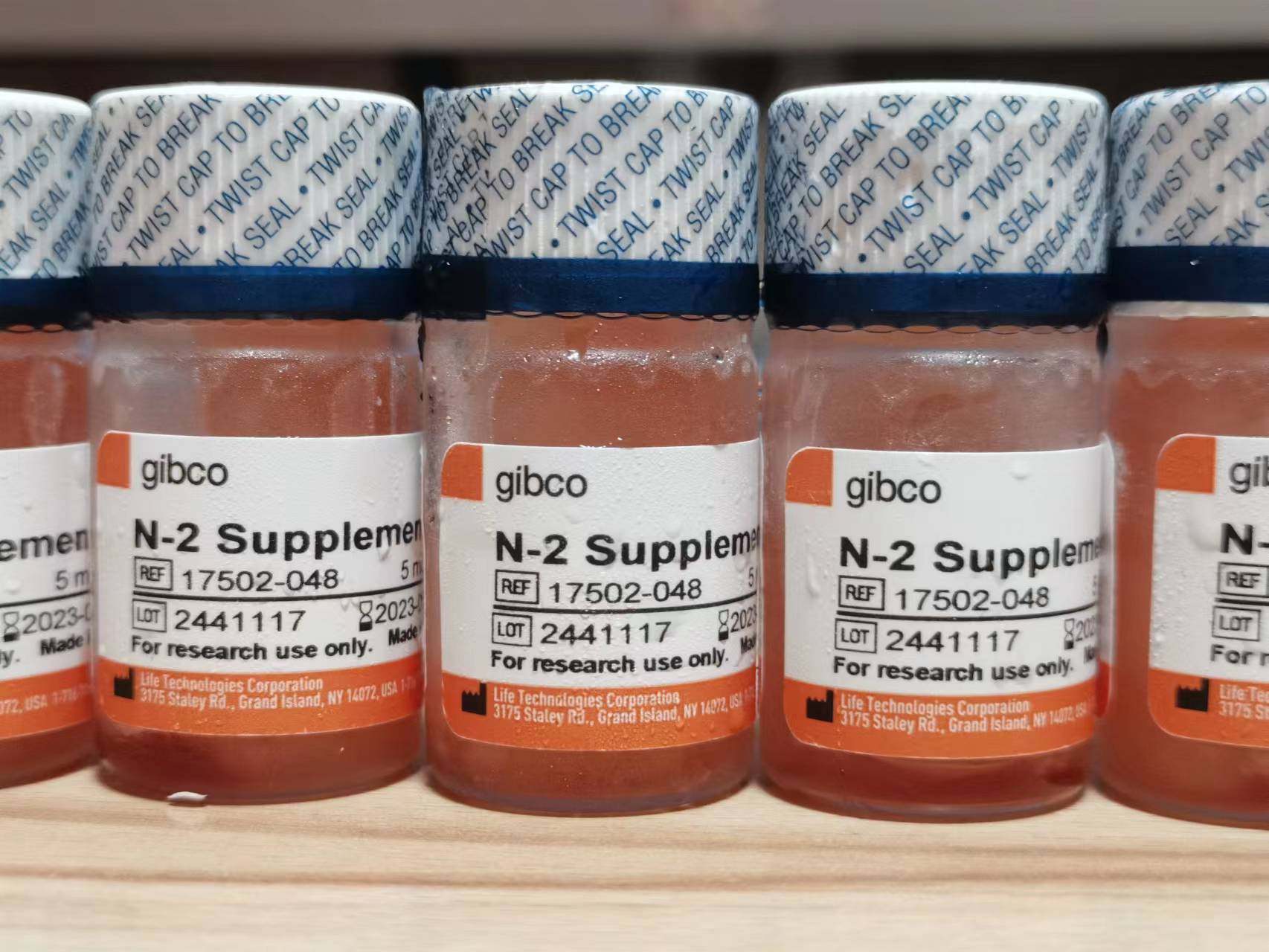 GIBCO 17502-048 N2 添加剂 (100X) N-2 Supplement 17502048 5ml