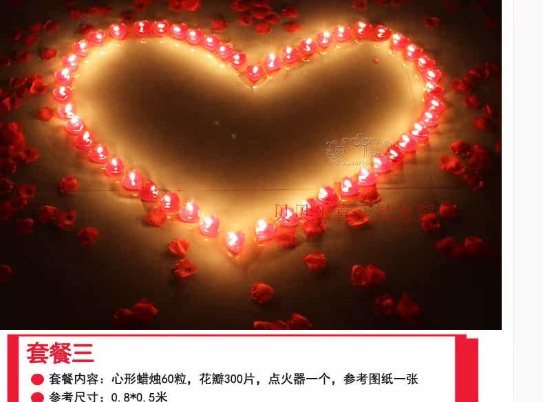 Bougie       - Ref 2490692 Image 13