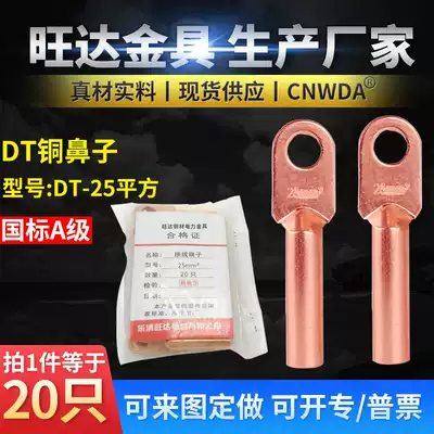 DT-25 square copper terminal wire nose wire and cable copper wire lug copper connector copper terminal National Standard A level