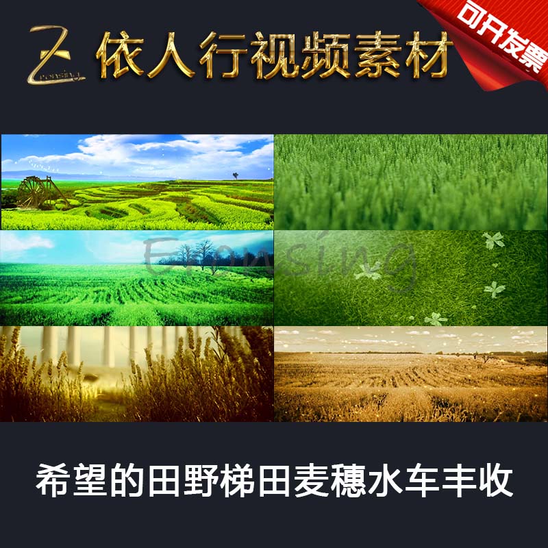 LED material VJ big-screen stage film Background material Hope Field water tankers dandelion Sunflower Harvest
