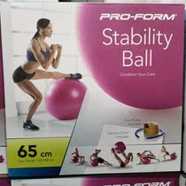 ProForm Paramount Yoga Ball 65cm Costco domestic