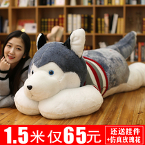 Husky doll ragdoll Cute Erha plush toy dog girl sleeping pillow lazy bed doll