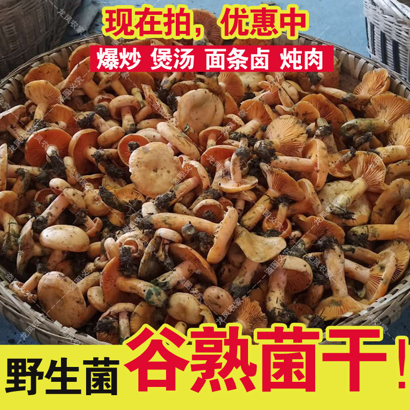 野生谷熟菌干:自然馈赠,味蕾盛宴🌿🍄-松茸-淘宝百科网
