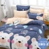 Người Bắc cực dày lên giường chà nhám bông tinh khiết chăn tấm bốn bộ ký túc xá nữ sinh viên ba mảnh chăn ga gối đệm Bộ đồ giường bốn mảnh