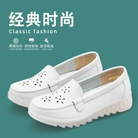 2034 (обновление желе мягкого дна)