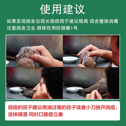 汉诺威 Голубиные голубные голуби Голуби Голубь Голубь Голубь Голубь 立 痘 痘 痘 痘 痘 痘 Голубиное лекарство