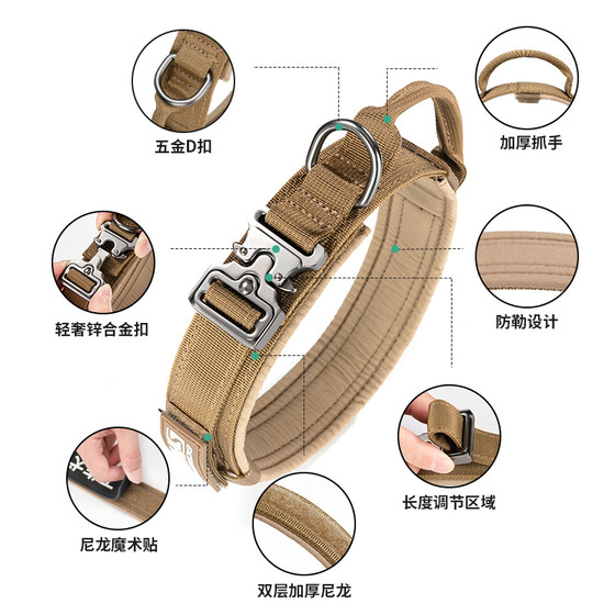 Outstanding Collar for Medium and Large Dogs, Golden Retriever, Labrador Collar, Border Collie Dog Collar, Dog Leash, Traction Rope