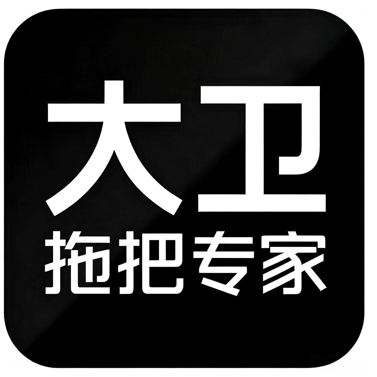 大卫优品清洁店的LOGO