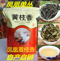 2020 Phoenix Wuzu single fir tea autumn tea snow flakes duck feces big black leaf single from tea single cluster Yellow Branch