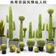 Nordic Artificial Cactus, Cacti, and Succulents for Mall Scenery, Green Plants for Model Homes, Large Window Display Decorations and Landscaping