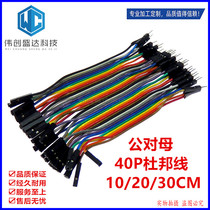 40P Double heads beat Dupont terminals DuPont Line One male and female heads to the female head dress rehearsline 40 rows