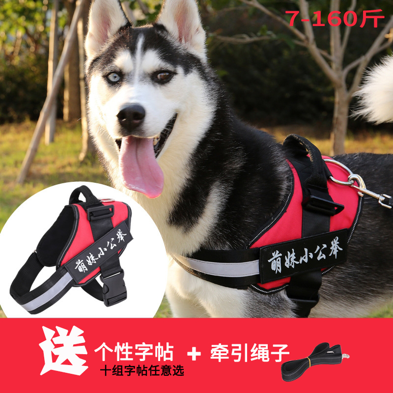 Dog chest strap walking dog rope Golden Retriever Corgi Teddy small and medium-sized dog dog chain vest-style pet supplies traction rope