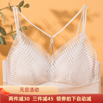 Comfortable love method gathering without steel ring lace vest style V collar underwear female sexual beauty back bra 5188