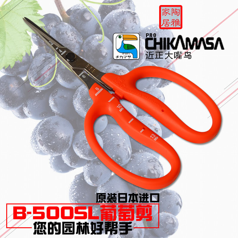 Japan imported toucan grape scissors sunshine rose vegetable and fruit scissors Nina Queen Qingwang vegetable and fruit picking tweezers