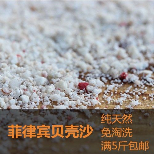 South American Water Community Philippines Shells Sand Coral Sand Three Lakes of Jing Sand 1 sand