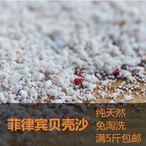 South American Water Community Philippines Shells Sand Coral Sand Three Lakes of Jing Sand 1 sand