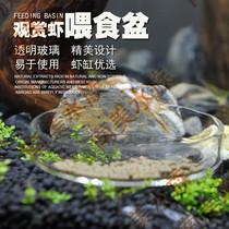 South American water ethnic crystal shrimp feeding basin glass fish tank ornamental pet shrimp feeders Shrimp Grain Tray Feed Basin food tray