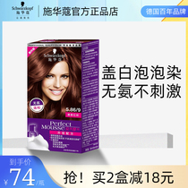 Schwarzkor mousse bubble hair dye pure pop color plant yourself at home dyeing white hair black tea