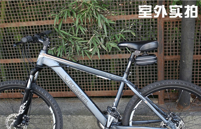 Sacoche pour vélo mixte ROSWHEEL - Ref 2220575 Image 14