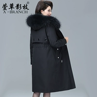 X-FDL19-10-BLACK