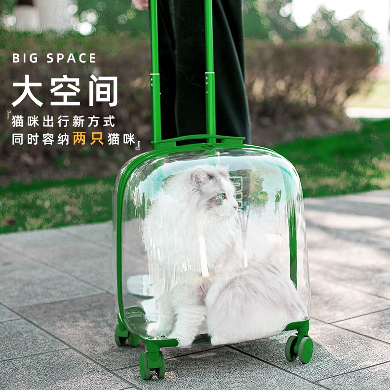 Large Capacity Cat Bag Out of portable pull-lever case Two cats Pet bag Suitcase Dog Suitcase Kitty supplies