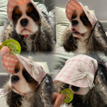 Puppys shop dog sun hat summer puppy light sun protection hat outdoor exposed ears King Charles