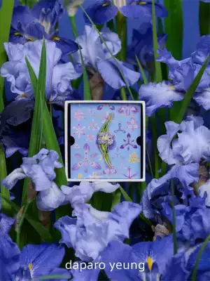 daparo da prooris brooch designer original gorgeous high-end female badge pin jewelry Tanabata gift