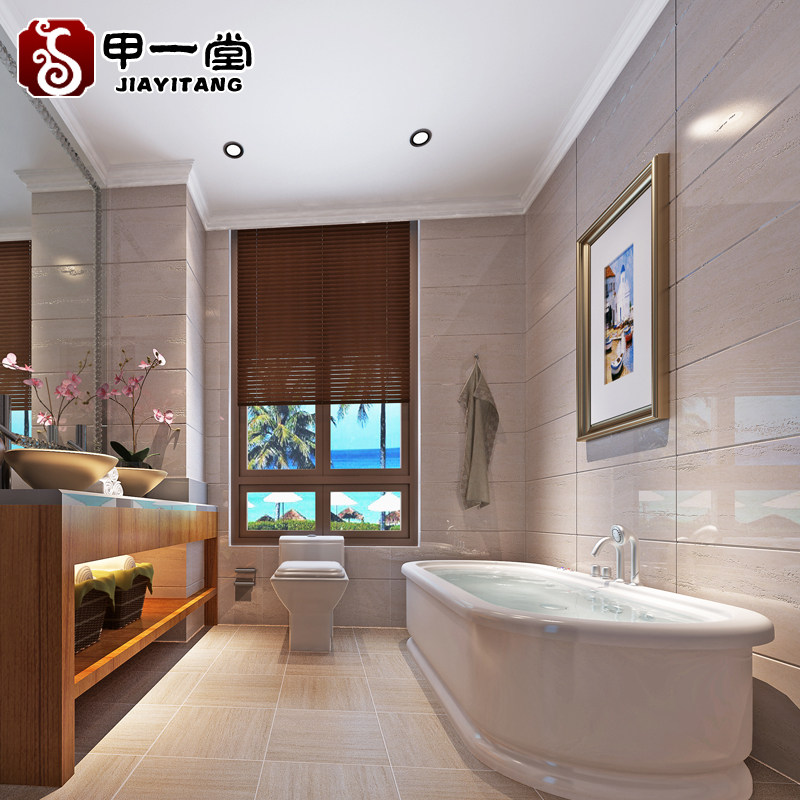 ��һ�ð׻ƶ�ʯǽשDS01