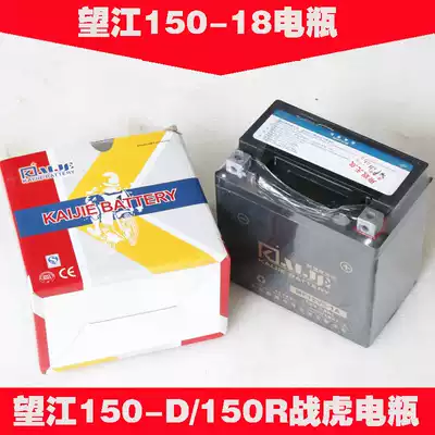 Wangjiang Locomotive Dolls WJ150-18 150-D 150R War Tiger Battery Dry Battery Free Battery