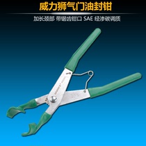 Power Lion Brand 10 Inch Valve Oil Seal Pull-out Pliers Car Snappers Steam Door Spring Removable W22400