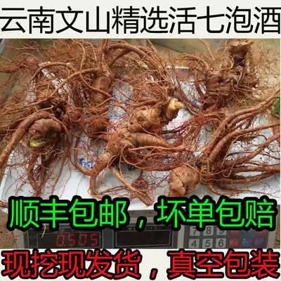 Fresh Panax notoginseng Wenshan dry three seven four years old Three seven fields seven live three small pot wine now dug out vacuum packaging