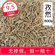 Xinjiang cumin grain 500g household pure commercial barbecue seasoning Spice marinade premium pure grain