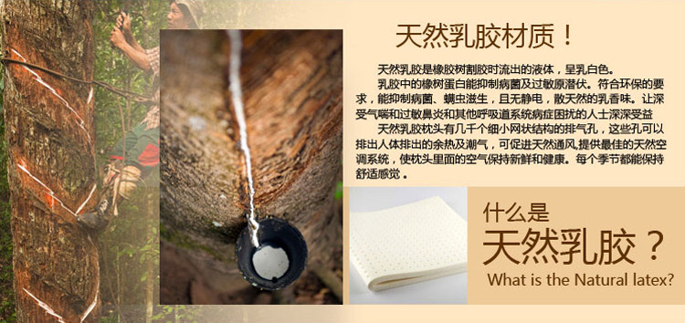 天然乳胶是什么
