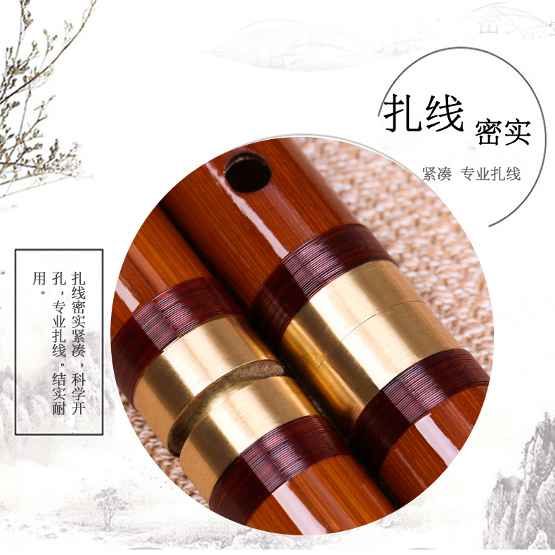 Sáo, người mới bắt đầu, thổi sáo trúc, gửi phim chuyên nghiệp, trẻ em người lớn, học sáo, sáo - Nhạc cụ dân tộc đàn bầu