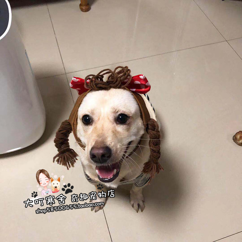 Cute pigtails dating blind date hat headdress method fight Keji Shiba Dog large dog pet dog funny headgear