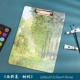 File Splint-Sislai-Forest