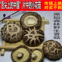 Wild shiitake mushrooms dried dried shiitake mushrooms 500 grams of bulk pearl mushrooms small shiitake mushrooms Fangxian size flower mushroom farm special grade