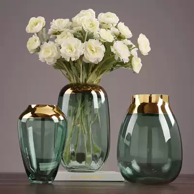 Golden glass transparent flower arrangement light luxury vase Nordic household modern minimalist home decoration living room decoration bottle
