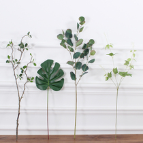 Artificial plant willow leaf flower arrangement with green leaves Long branches rattan Ginkgo biloba Pastoral Eucalyptus leaf turtle back leaf