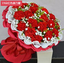 Carnation Jiangsu Huaian City Qinghe County Huaian City Chuzhou Qingpu District Tongcheng Flower Shop