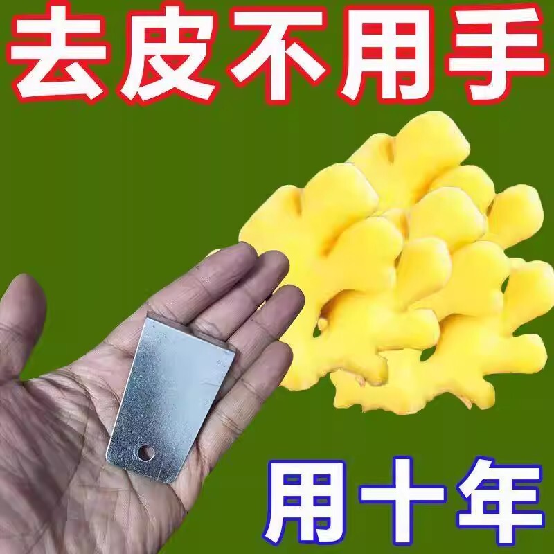 The Handheld Ginger Peeler Is Easy to Use Even for Beginners, Peels Evenly, and Enhances the Daily Cooking Experience