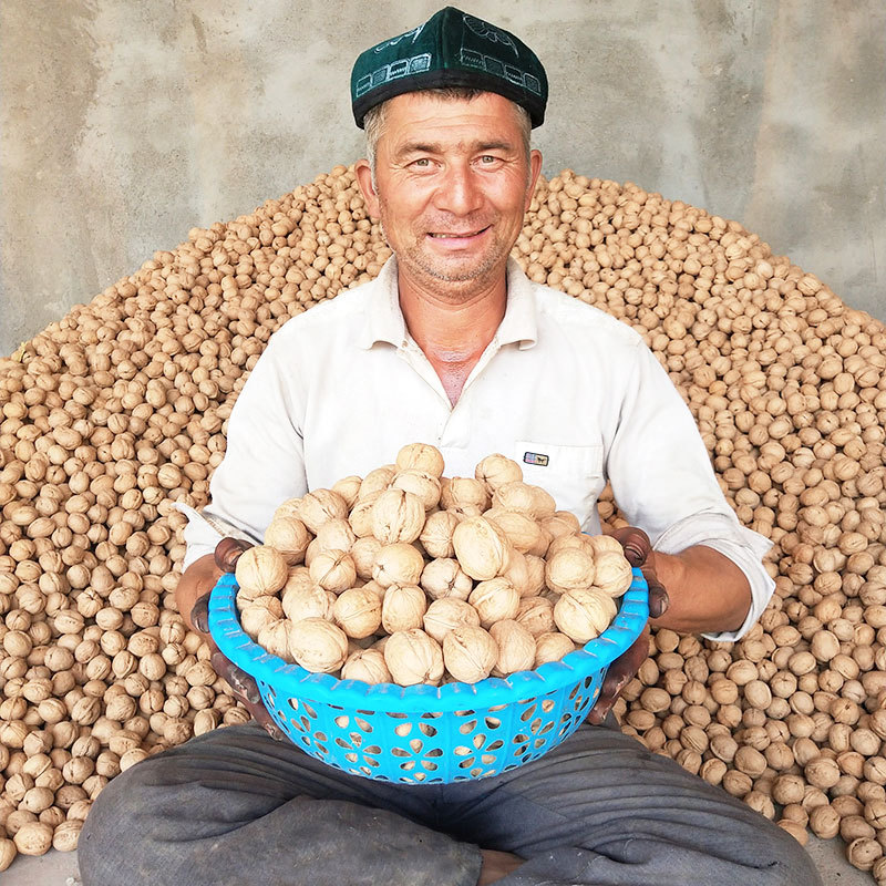Authentic Xinjiang Aksu 185 Paper-Skinned Walnuts 2025 New Crop, Special Walnuts for Pregnant Women, Thin-Skinned, Bagged Specialty Product