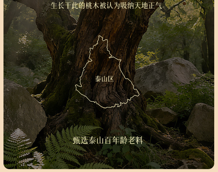 普陀山本命年真品桃木手串女款南红双圈避凶高级感木质手链详情9